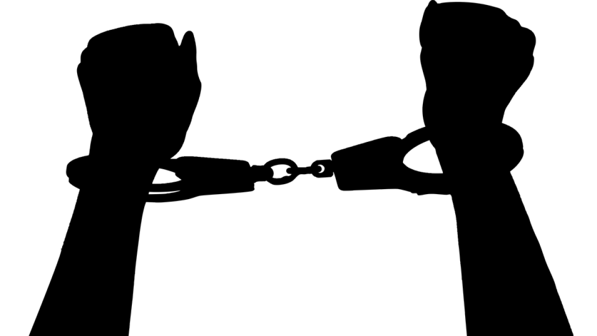 La macrooperación contra la pornografía infantil fue coordinada por la Europol.