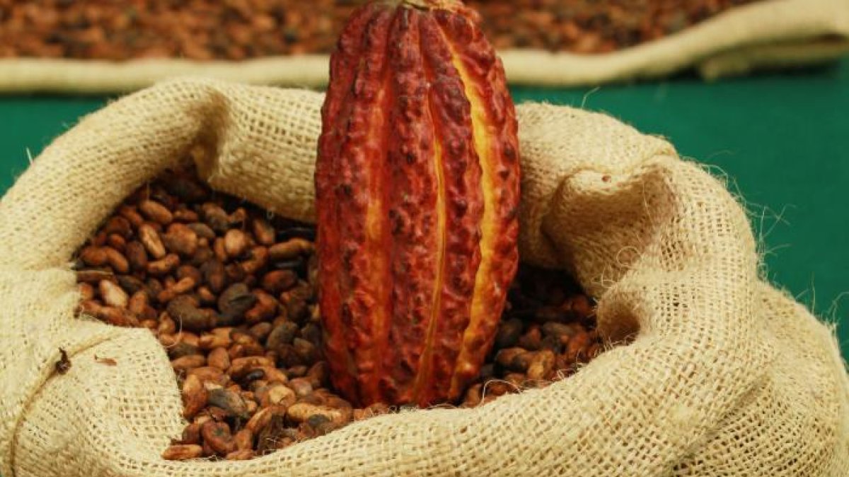 El chocolate debe tener preferiblemente el mayor porcentaje de cacao puro sin exceso de azúcar.