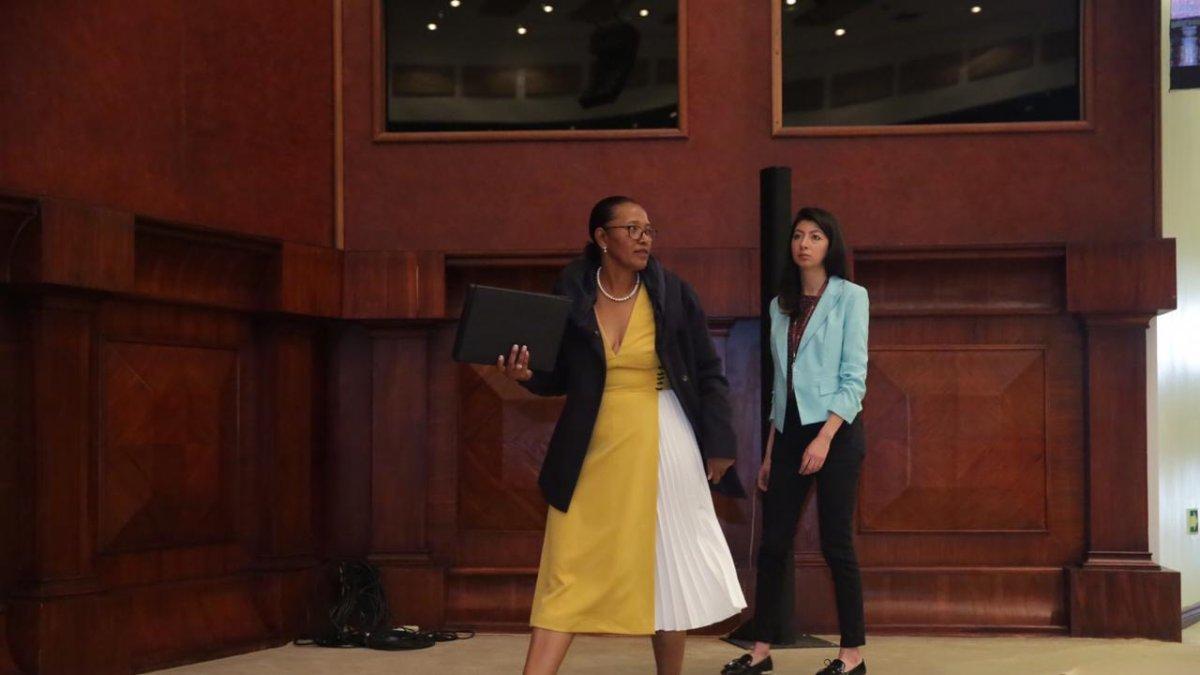 Referencial. Rosa Chalá en la Asamblea Nacional.