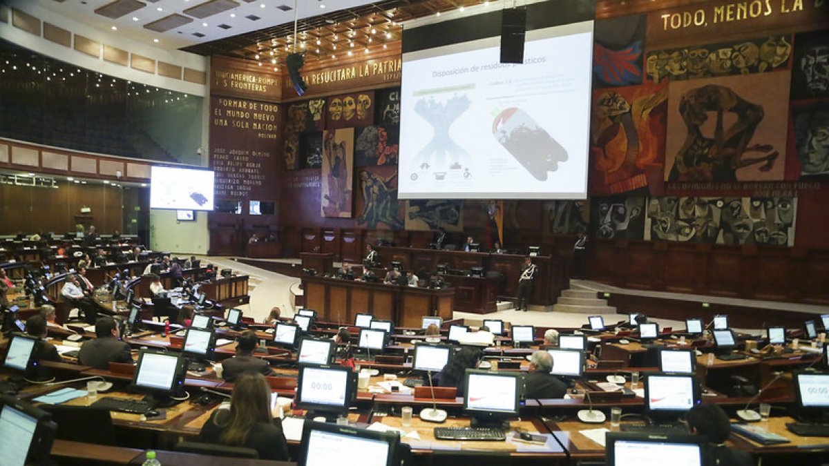 El asambleísta Esteban Albornoz expuso cifras sobre el tema.