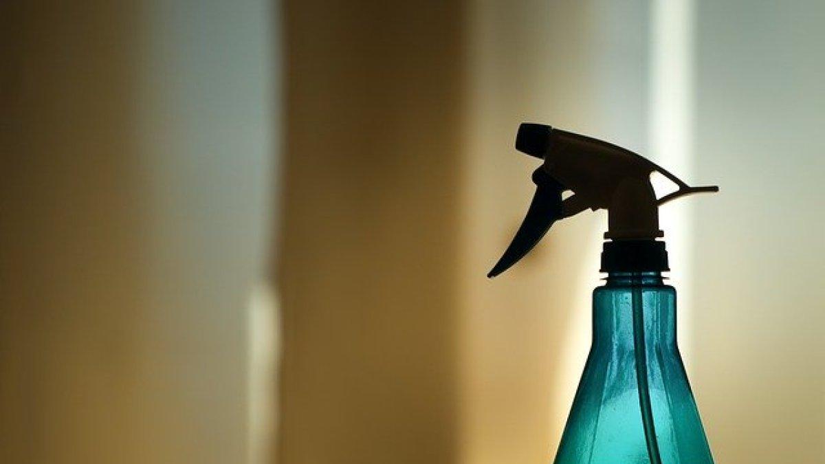 La RAE acepta el término flusflús en la lengua coloquial.