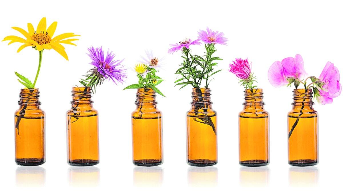 Quienes traten pacientes con esta terapia deben estar certificados por el Centro de Bach de Inglaterra.