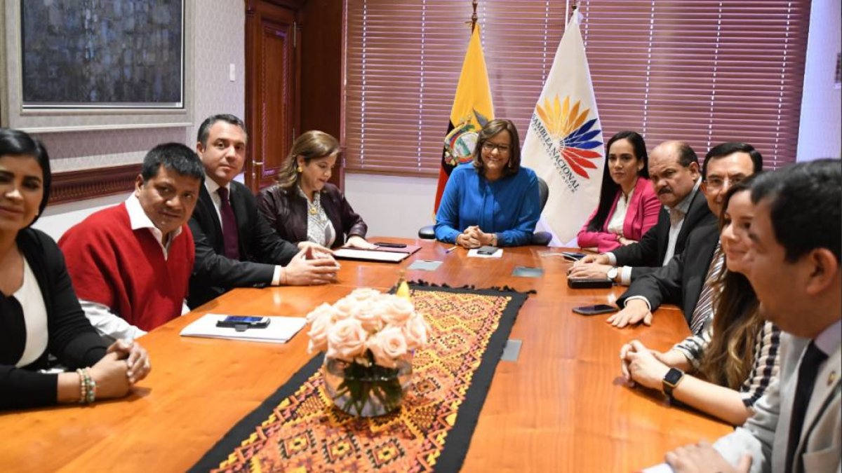 Asambleístas de Alianza PAIS presentaron una acción judicial este martes 24 de octubre en contra del decreto del presidente Lenín Moreno que nombró a María Alejandra Vicuña vicepresidenta.