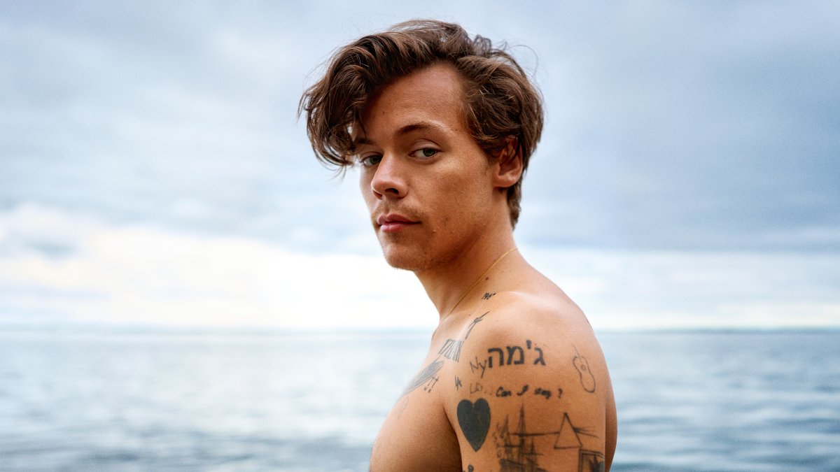 Watermelon sugar es el nuevo sencillo del artista inglés.