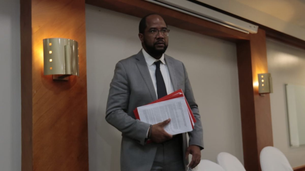 El delegado de la ONU, Ahmed Reid , presentó los resultados de la investigación