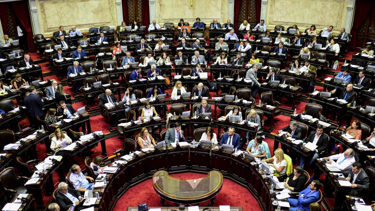 Buenos Aires. El Congreso aprobó tras 18 horas de debate el programa de emergencia económica del presidente Fernández