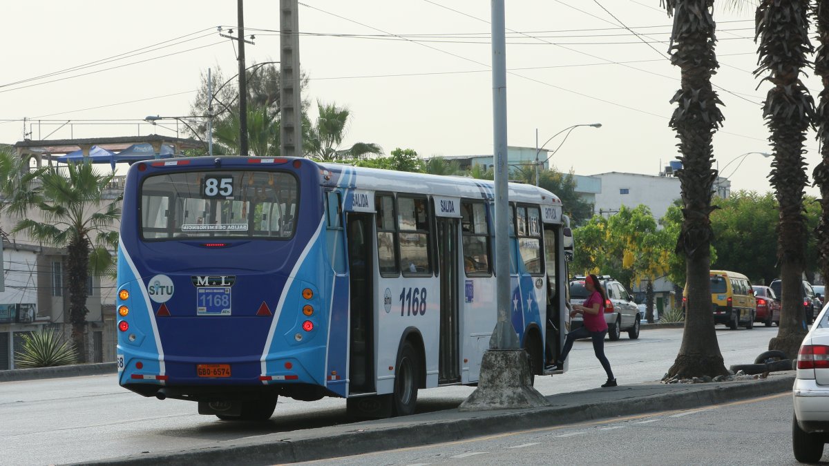 Una pasajera llegó hasta el parterre para tomar el bus.