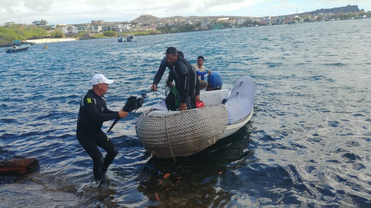 Buzos inspeccionaron a las especies marinas en la zona donde se produjo el derrame.