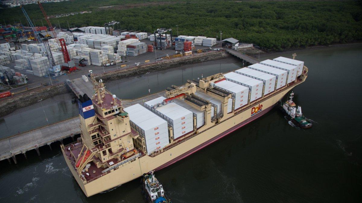 El banano de la compañía Dole sale a través de Naportec.