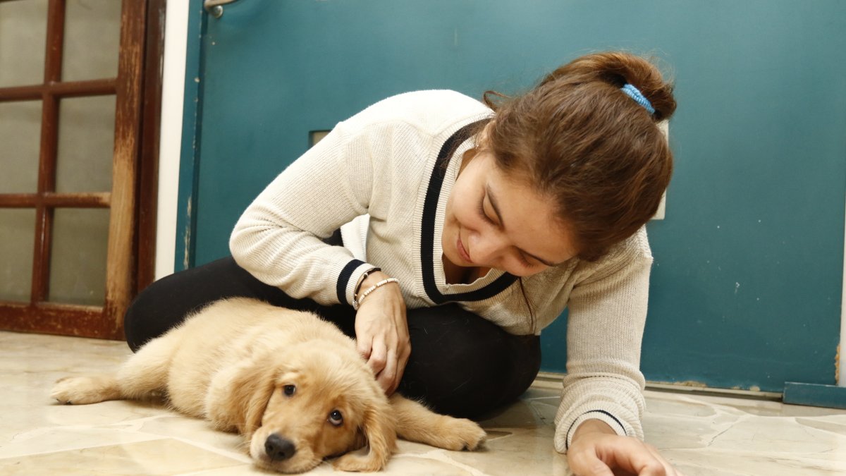 Para tranquilizar a los animales la noche del 31 de diciembre, en Ceibos Animal Care los cuidadores permanecen junto a ellos todo el tiempo