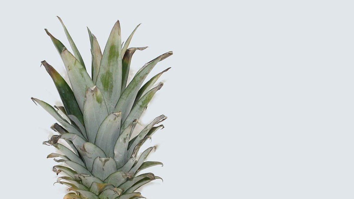 Por sus beneficiosas propiedades, esta fruta debe ser parte de la dieta.