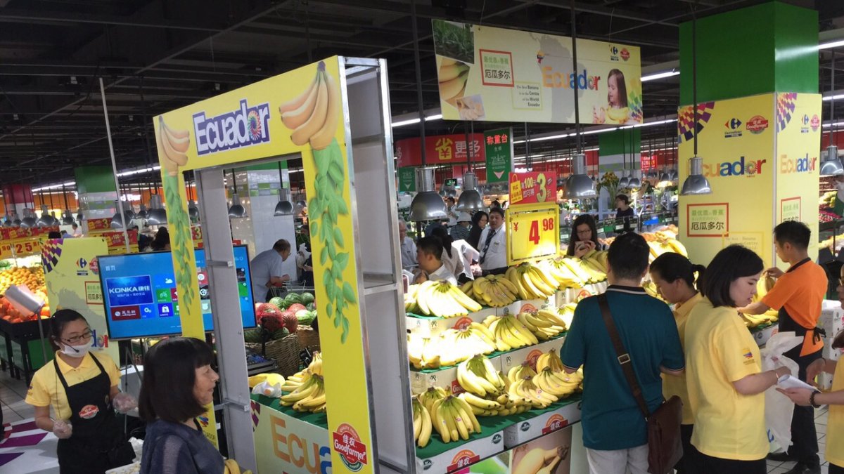 La exportación del banano ecuatoriano a Asia va en crecimiento.