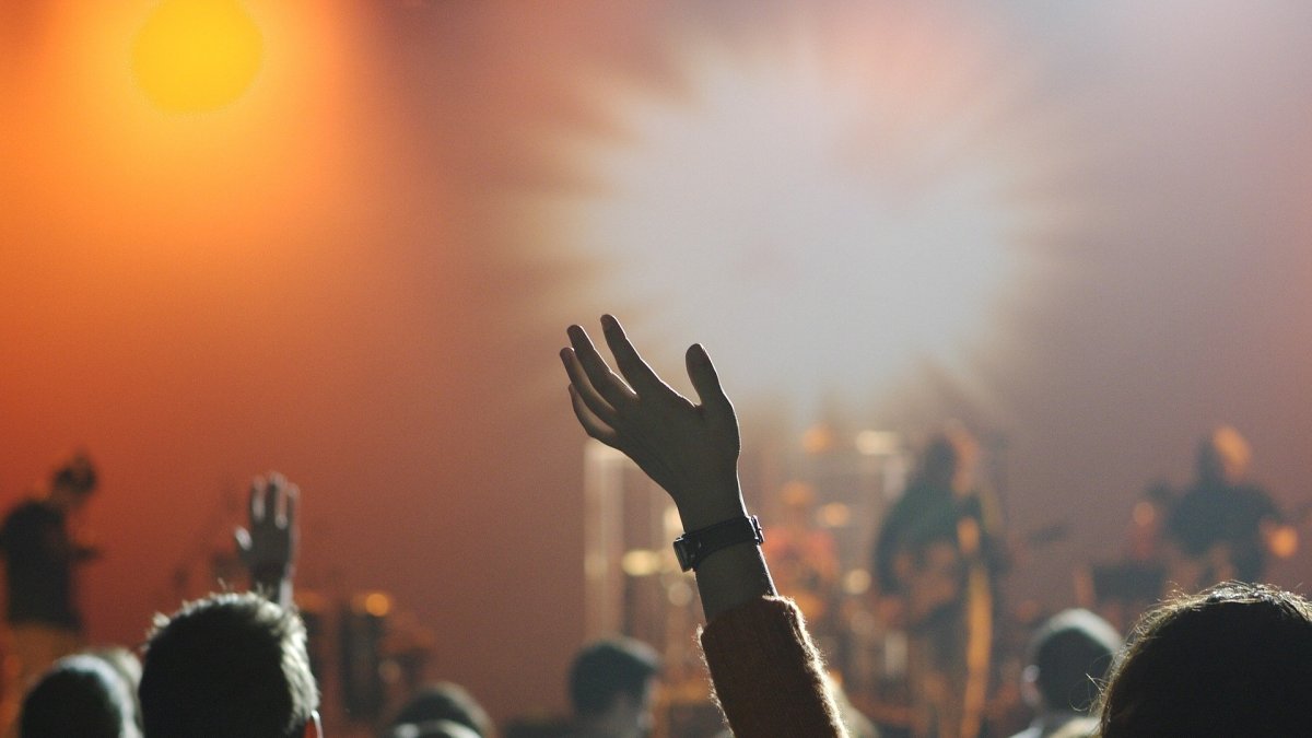 Desde Andrés Cepeda a Raphael, la oferta es variada.