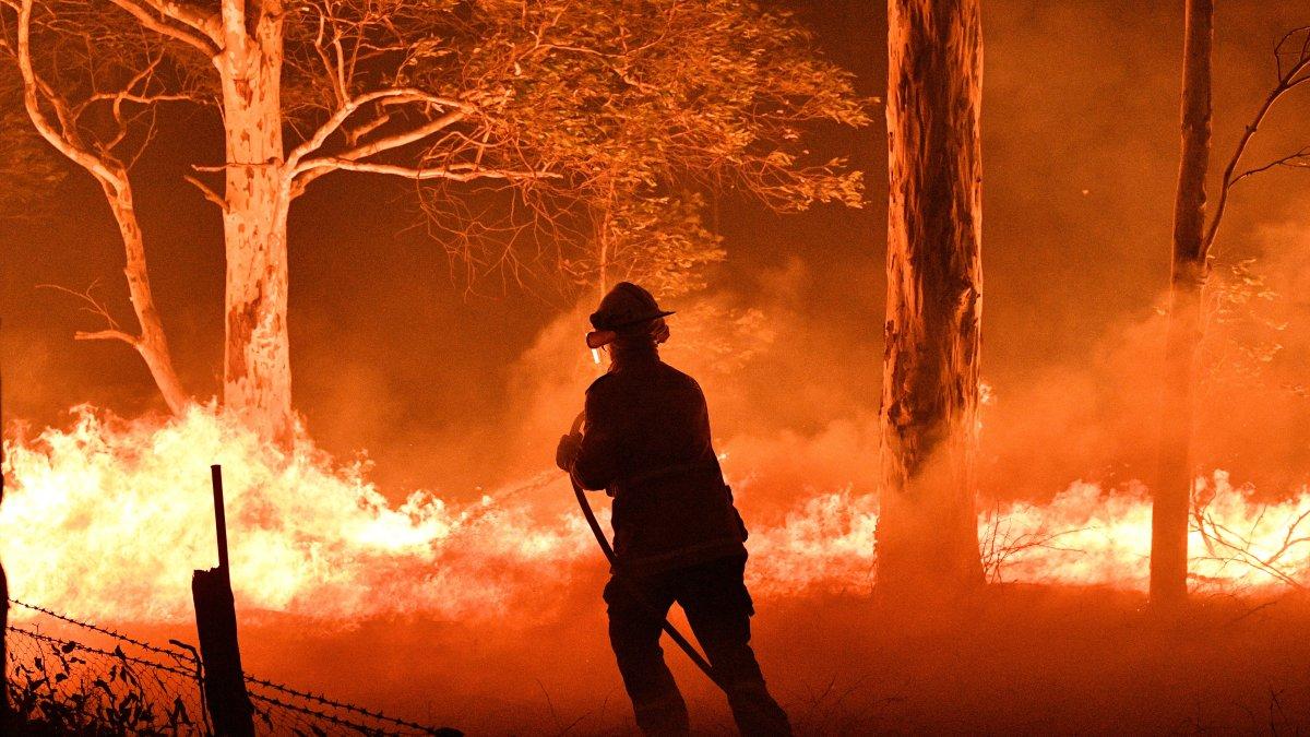 NOWRA. Un bombero intenta aplacar el fuego que consume los árboles de un bosque cercano a una zona poblada de esta ciudad del estado australiano de Nueva Gales del Sur.