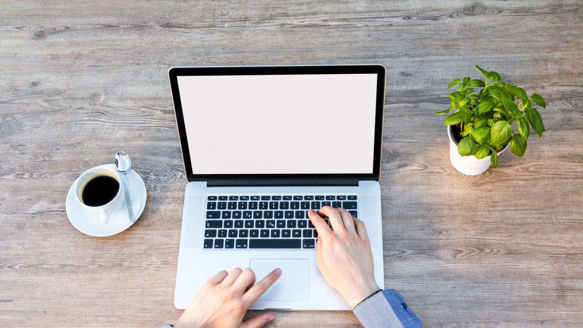 Una planta en tu escritorio puede ayudarte a reducir las tensiones.