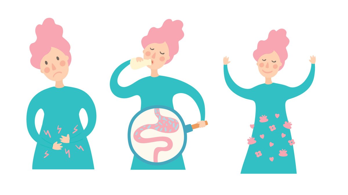 Favorecen la flora intestinal.