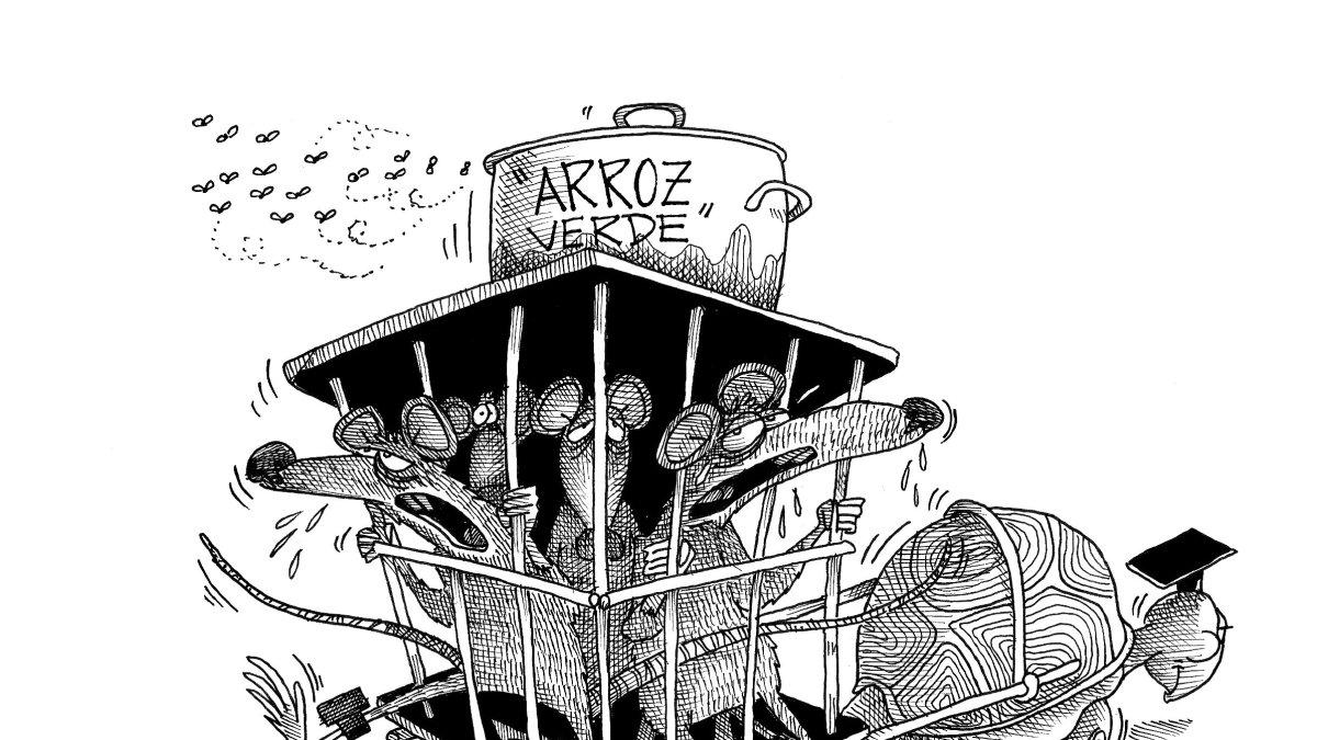 Bien aceitada para que no avance.