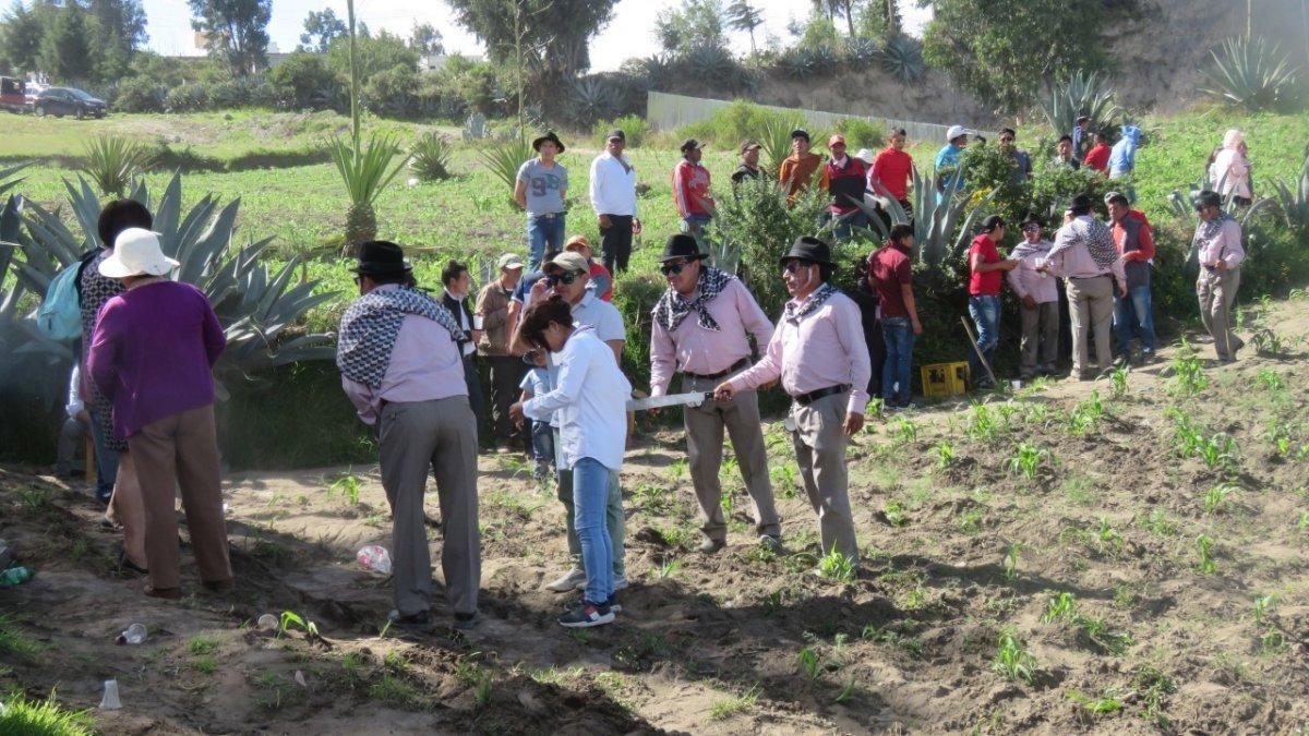 Rito. Los vasallos del Rey Viejo, con su típica vestimenta, limpian las malas hierbas.