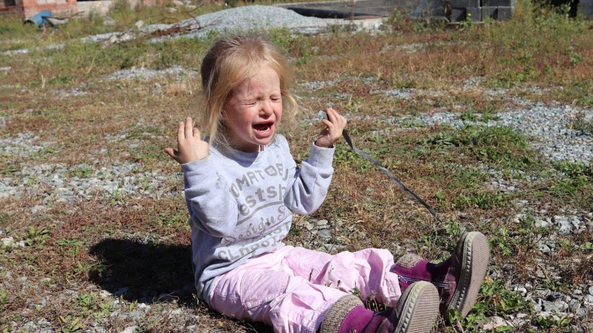 La ira, el enojo, la frustración, la tristeza y la alegría son posturas que pueden regularse mediante el diálogo.