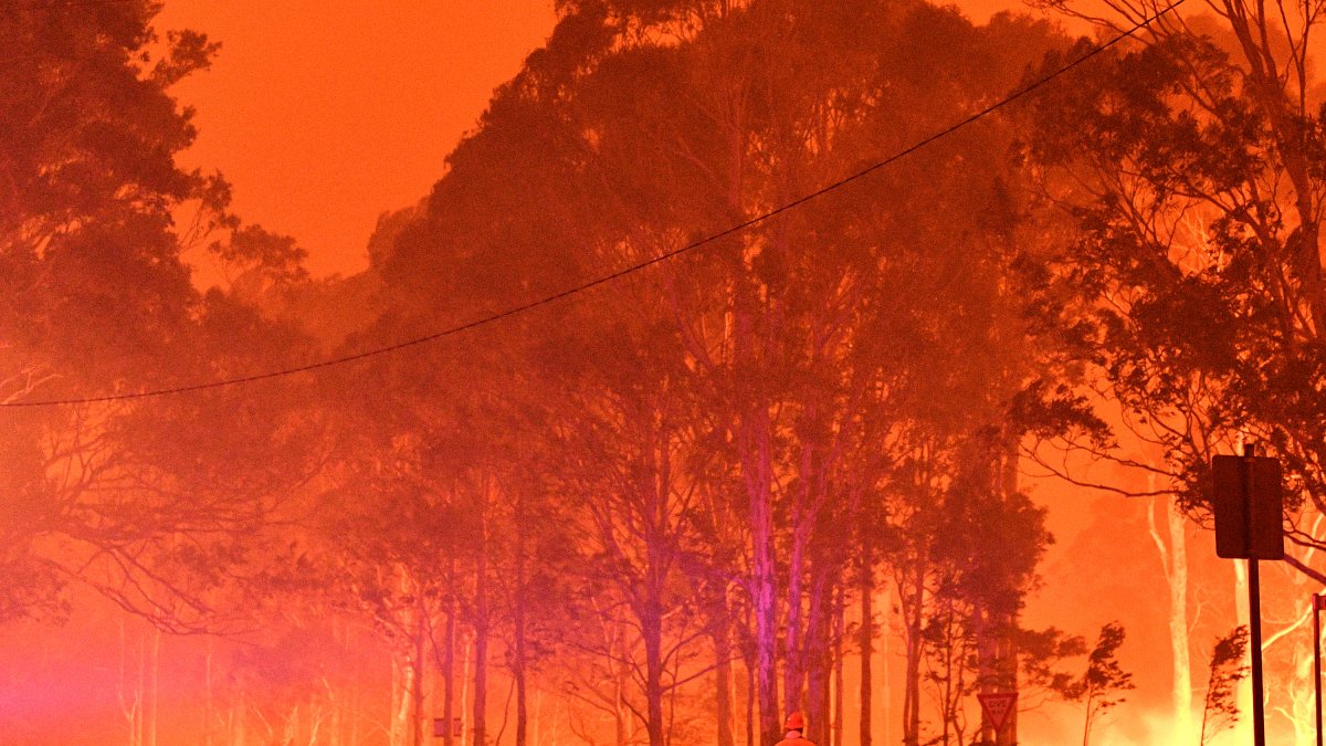 Los incendios han arrasado una superficie de más de 8 millones de hectáreas, equivalente a la de Irlanda.