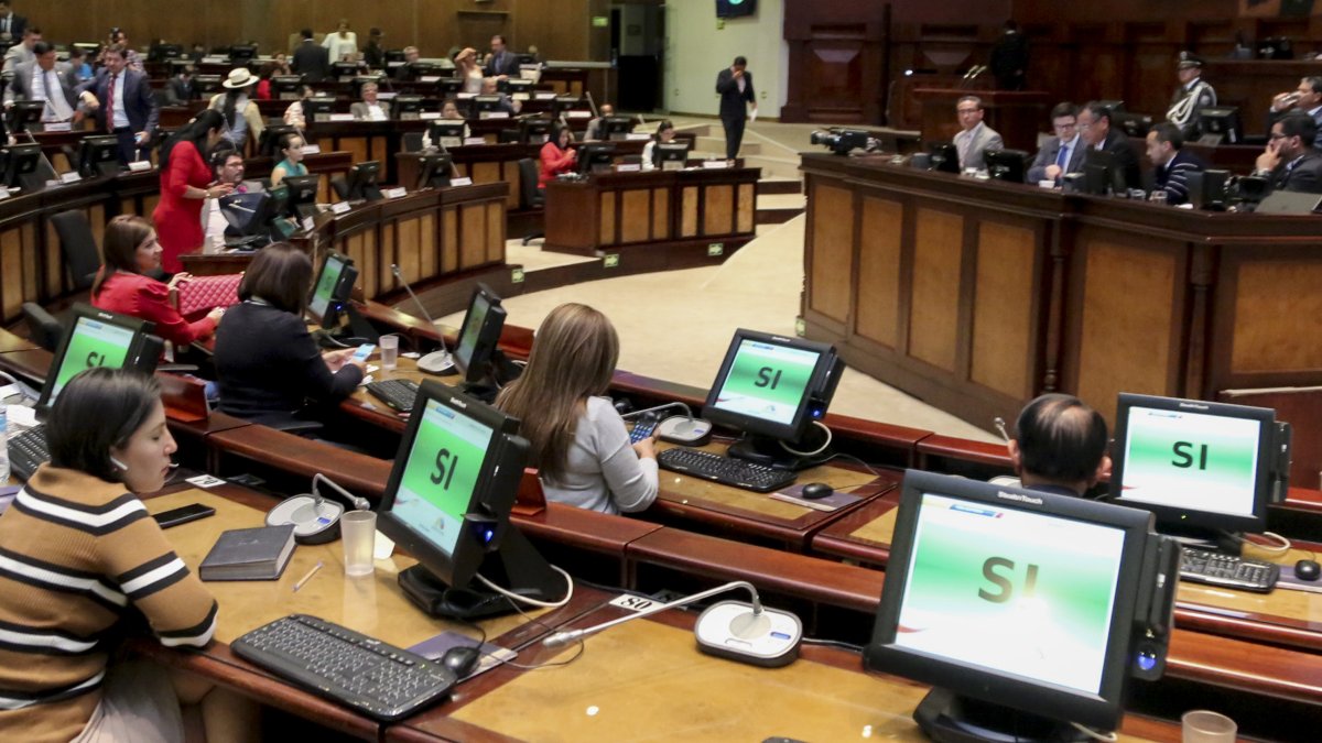 La Asamblea aprobó la norma en 2017 y entró al Registro oficial al año siguiente.