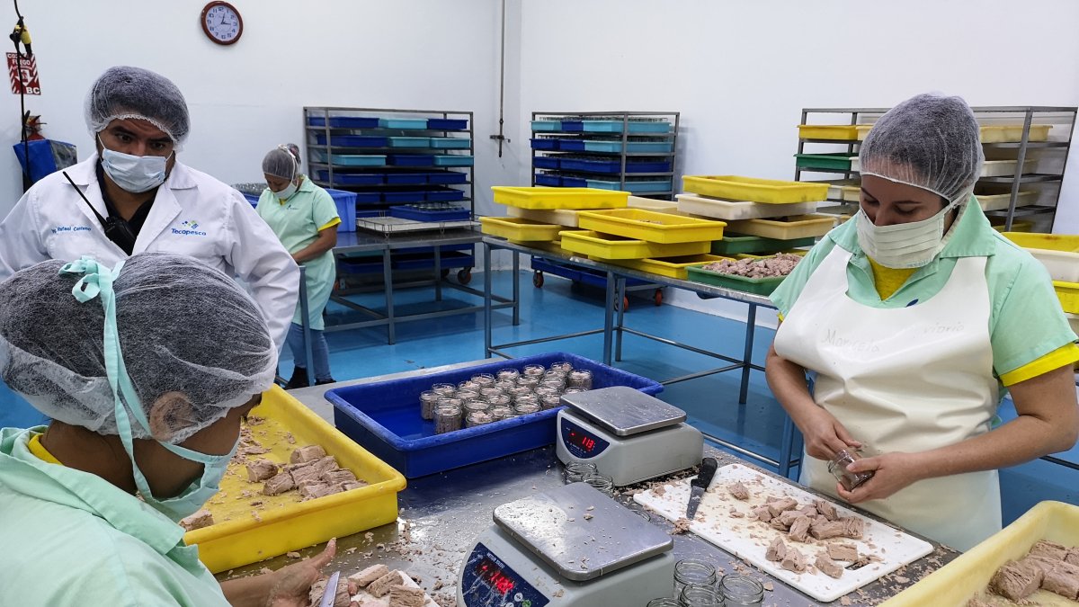 Ecuador es el primer país atunero en el Océano Pacífico Oriental