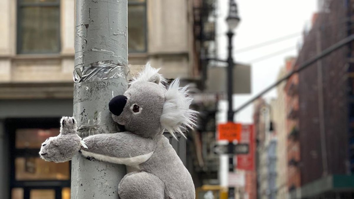 Los peluches se encuentran ubicados en distintos puntos de las avenidas principales de Nueva York.