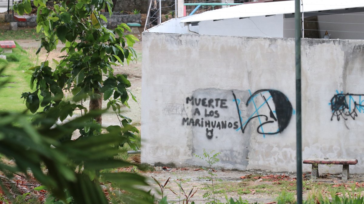 Vecino deportista pasa por uno de los parques y callejones de Samanes 1. Estos sitios son desolados.