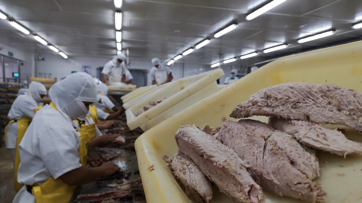 La industria manufacturera emplea al 10,3 % de la población económicamente activa.