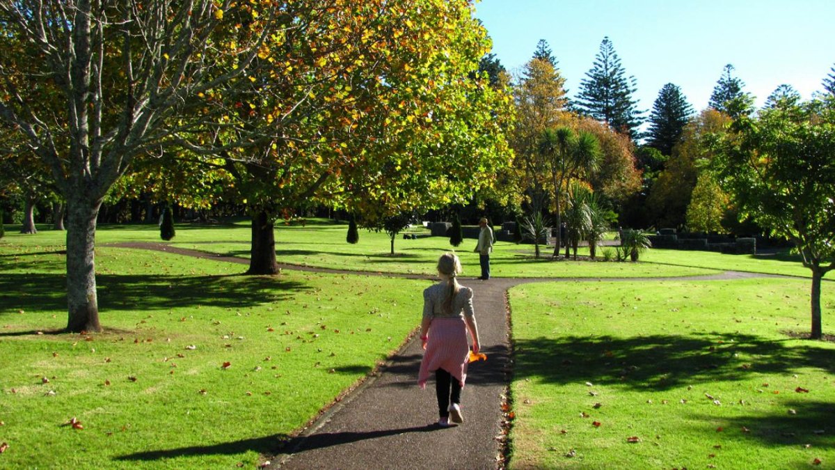 Caminar por áreas verdes ayudar a tener pensamientos positivos.