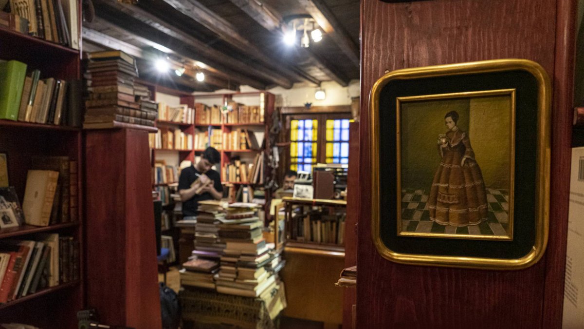 El Burro Culto. La librería en Ciudad de México para la que se necesita cita.