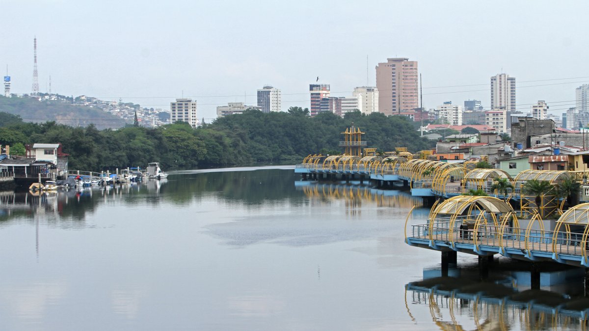 Hecho. Los expertos hacen énfasis en la necesidad de devolverle la vida al río y al estero Salado.