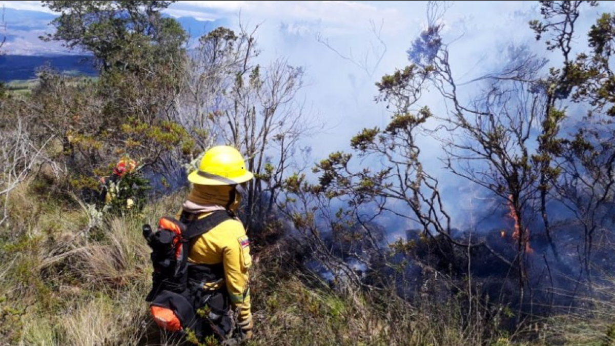 Hasta la tarde de hoy, los bomberos continuaban en el sitio, para evitar que se avive el fuego.