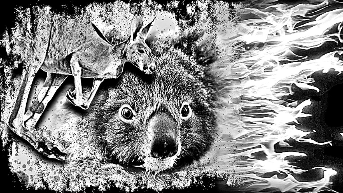 Ramesh Thakur, exsecretario general adjunto de las Naciones Unidas, es profesor emérito en la Escuela Crawford de Políticas Públicas, Universidad Nacional de Australia.