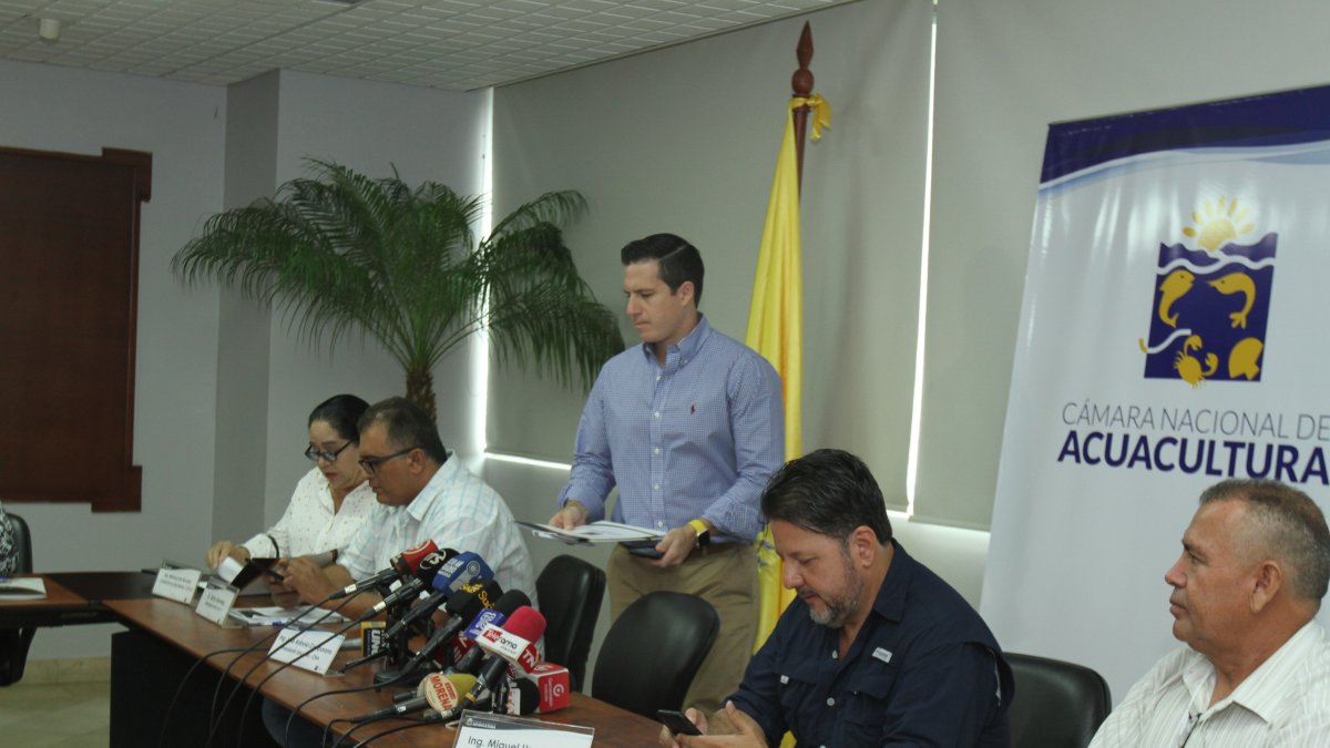 Los representantes del sector realizaron esta mañana una rueda de prensa para explicar el impacto que les genera esta problemática.