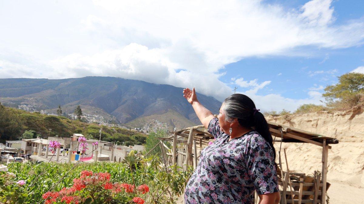 Cerro. La moradora detalla cómo hicieron las labores de reforestación