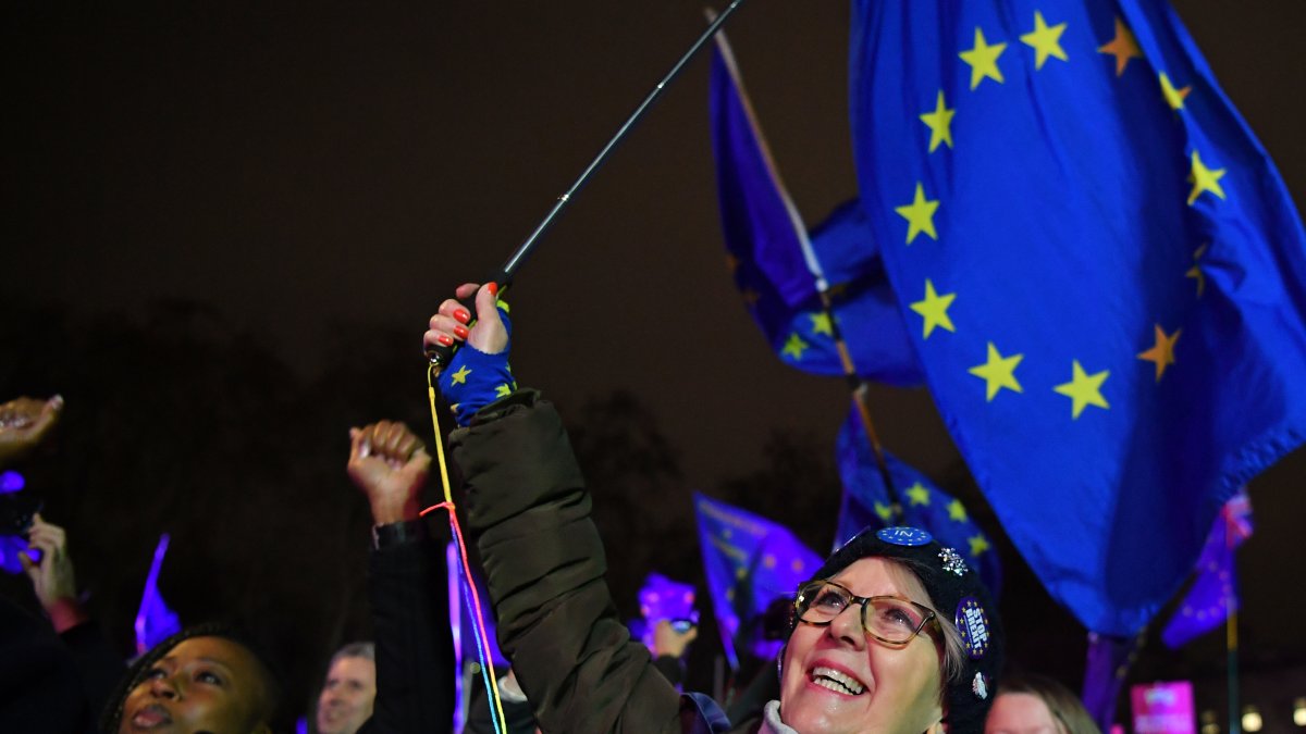 Los partidarios de la UE celebran fuera de las Casas del Parlamento en Londres en enero del año pasado.