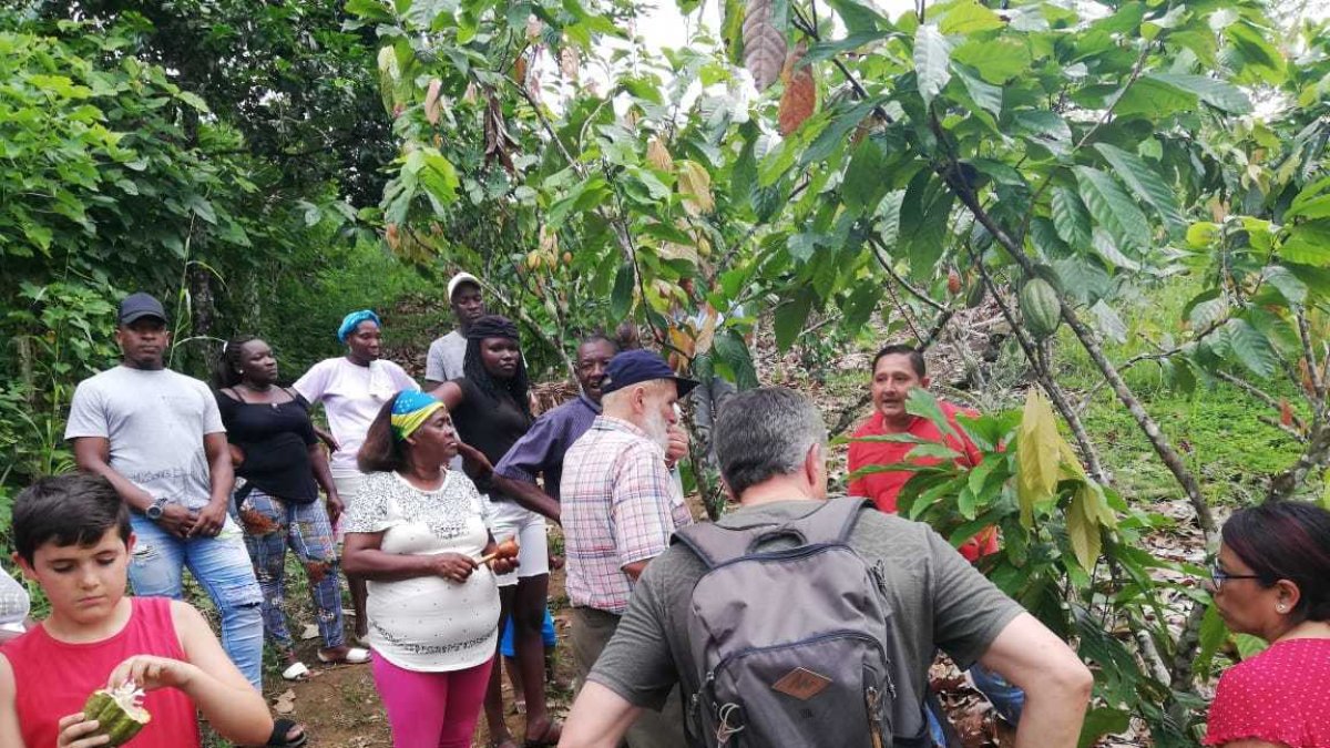 Asesorías. Los técnicos visitan las fincas para impartir conocimientos sobre las buenas prácticas agrícolas.