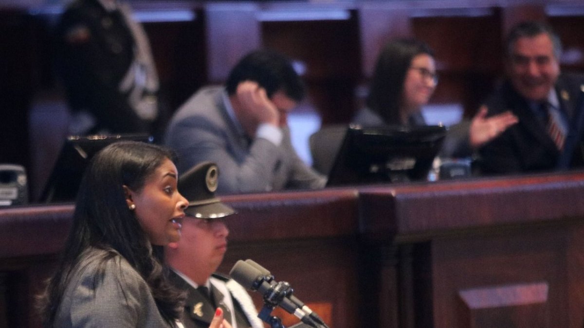 La fiscal Diana Salazar fue una de los cuatro funcionarios que rindió cuentas en la Asamblea Nacional.