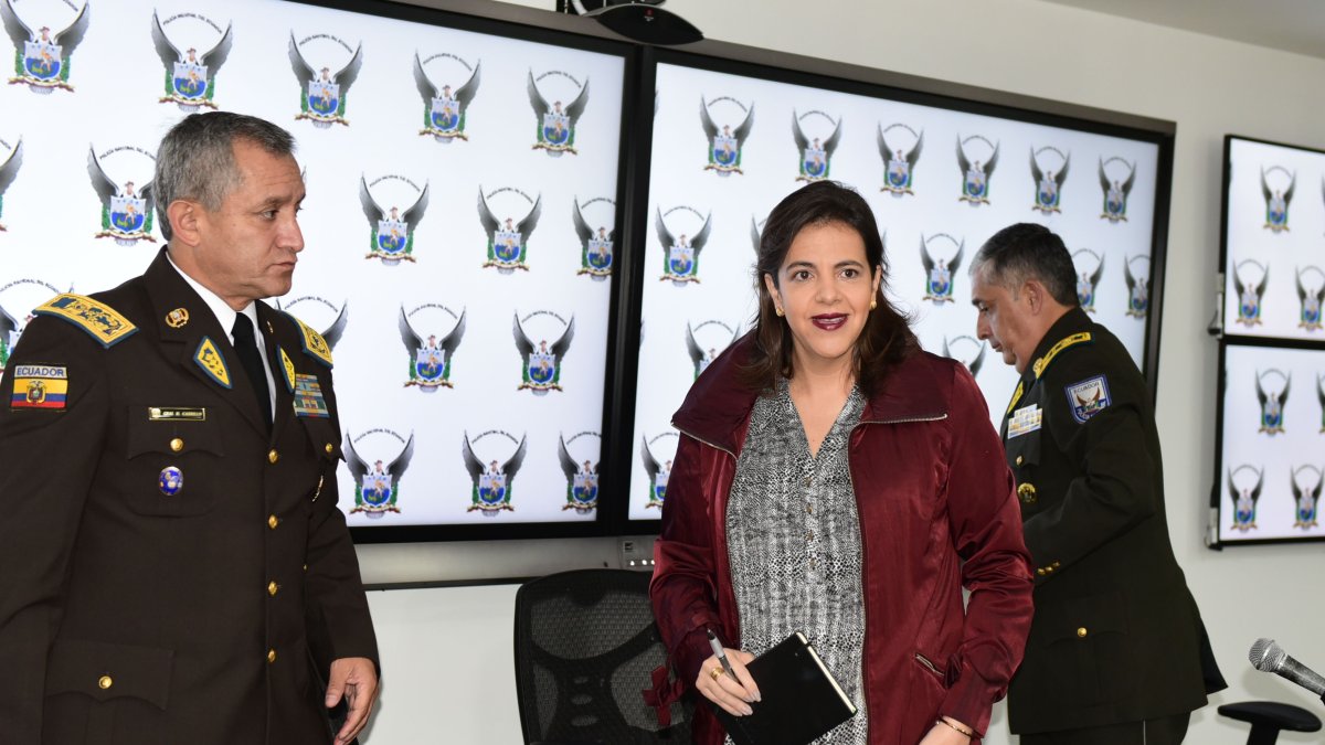 La ministra de Gobierno María Paula Romo informó que se detuvo a siete sospechosos del secuestro.