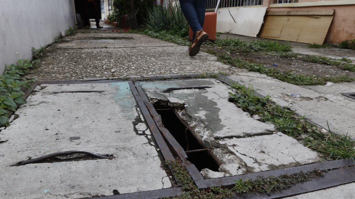 La falta de regeneración en las peatonales es evidente.