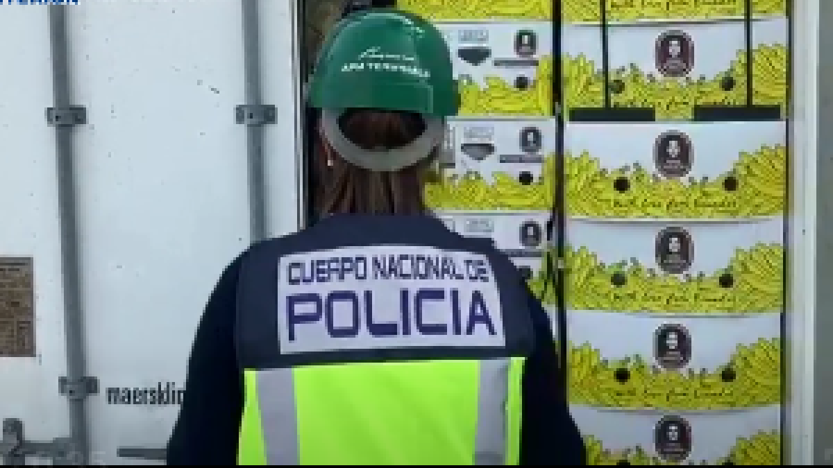 La cocaína fue escondida en mochilas junto a un contenedor de banano.