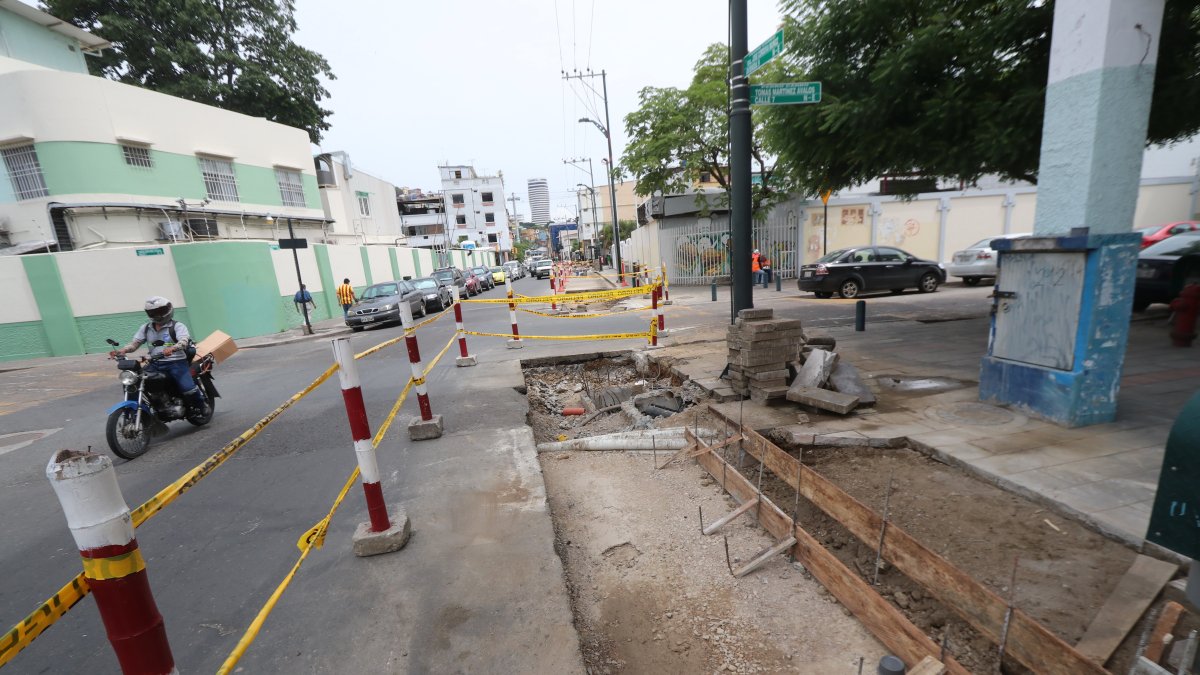 Trabajadores retiraron los árboles por construcción de  paradas de la Metrovía.
