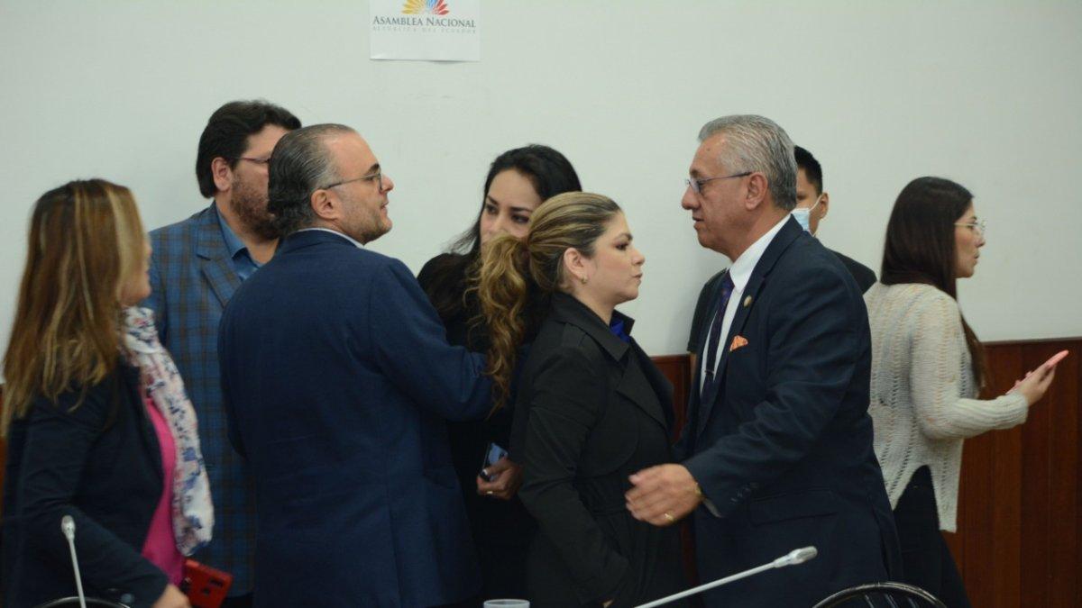 La asambleísta Pinuccia Colamarco (c) saluda con el interpelante Fernado Flores