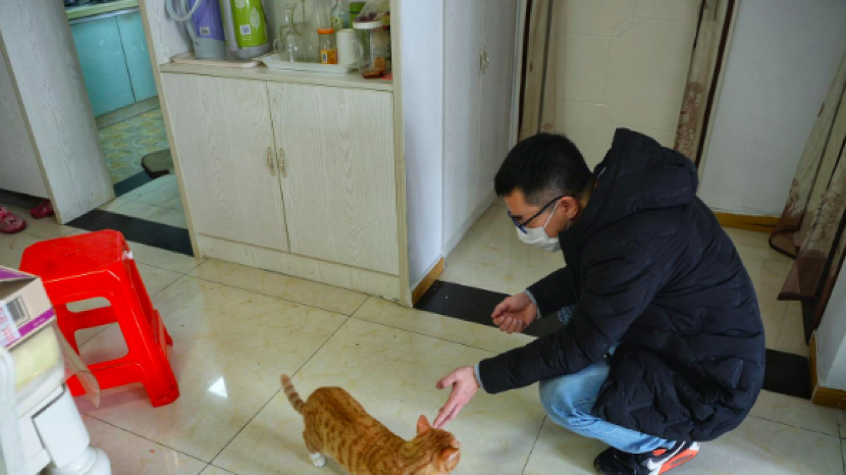 PEKÍN. Una persona trata de alimentar a una mascota cuyos dueños no llegan a casa desde hace varias semanas.
