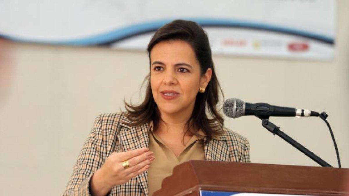 Imagen de archivo. La ministra de Gobierno, María Paula Romo, indicó que la prueba de coronavirus tendría un valor inferior a los 100 dólares.