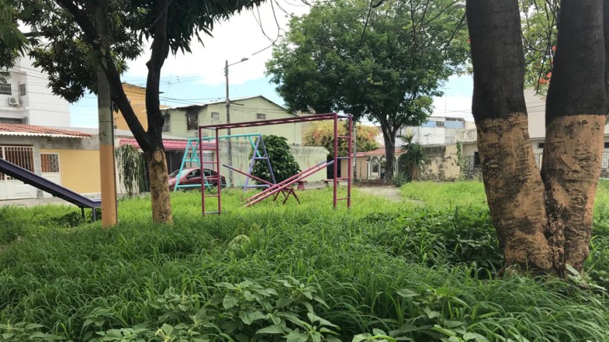 La maleza cubre gran parte de varios parques de Guayacanes.