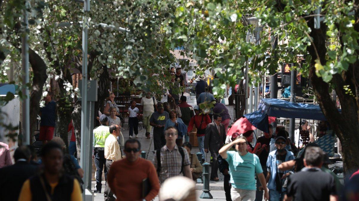 La capital fue reconocida como una de las ciudades más arboladas del mundo