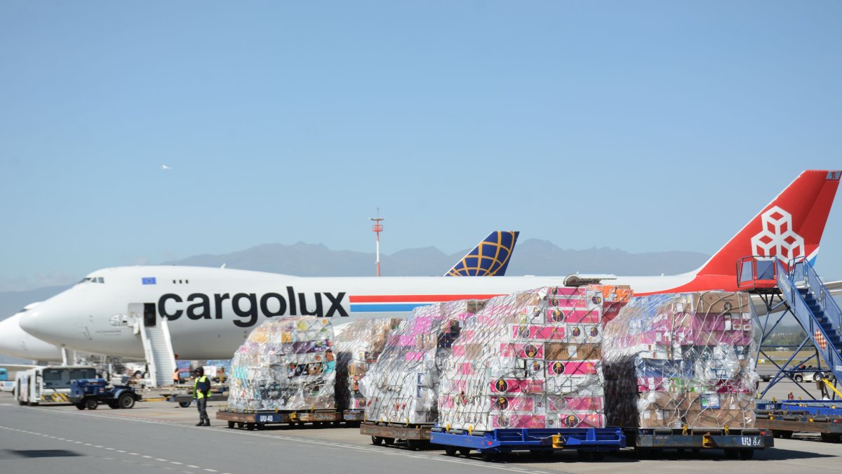Un avión de la aerolínea  Cargolux cargó flores ayer para dirigirse a Europa-  

 Quito 05 de Febrero de 2020 Agencia(ag-extra ag-expreso-ag-quito)