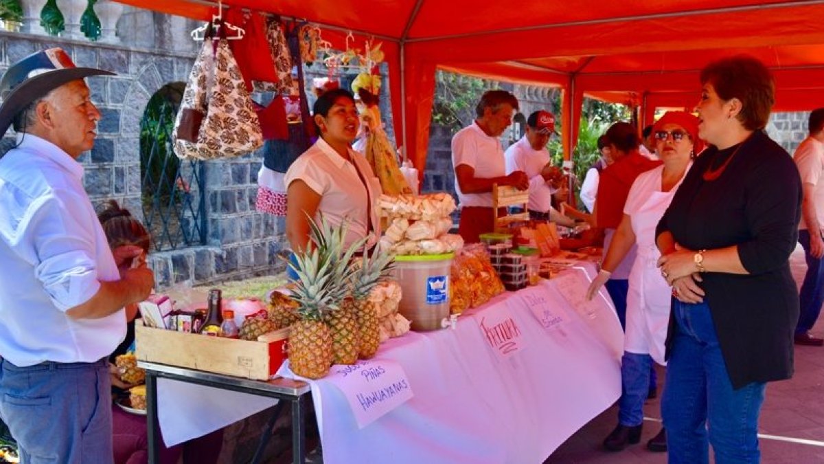 Entre los objetivos de la propuesta destacan la recuperación del Centro Histórico y la promoción del uso y apropiación adecuada del espacio público.